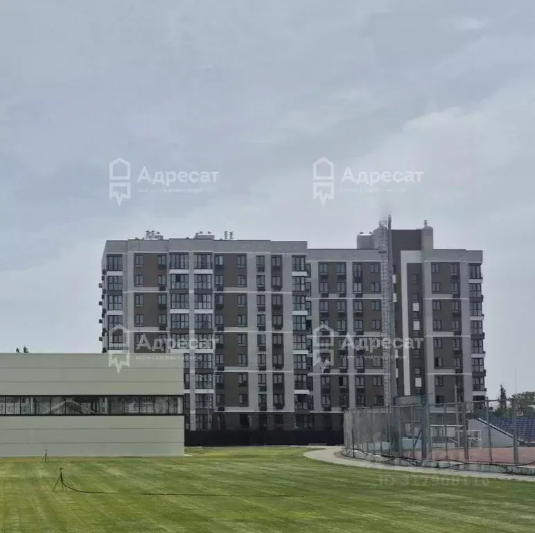 1-к кв. Волгоградская область, Волгоград Тарифная ул., 15 (31.5 м) - Фото 0