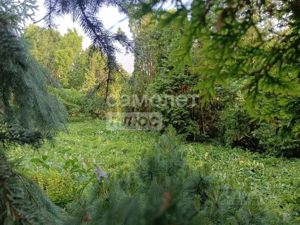 Участок, 12 сот., сельхоз (снт или днп) - Фото 1