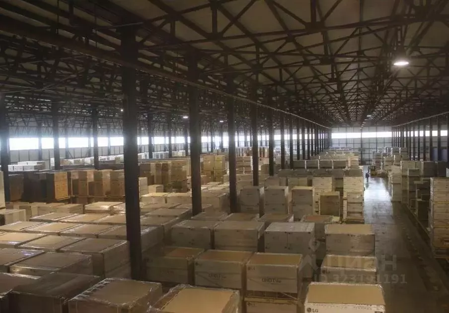 Склад в Московская область, Рузский муниципальный округ, д. Шелковка ... - Фото 2