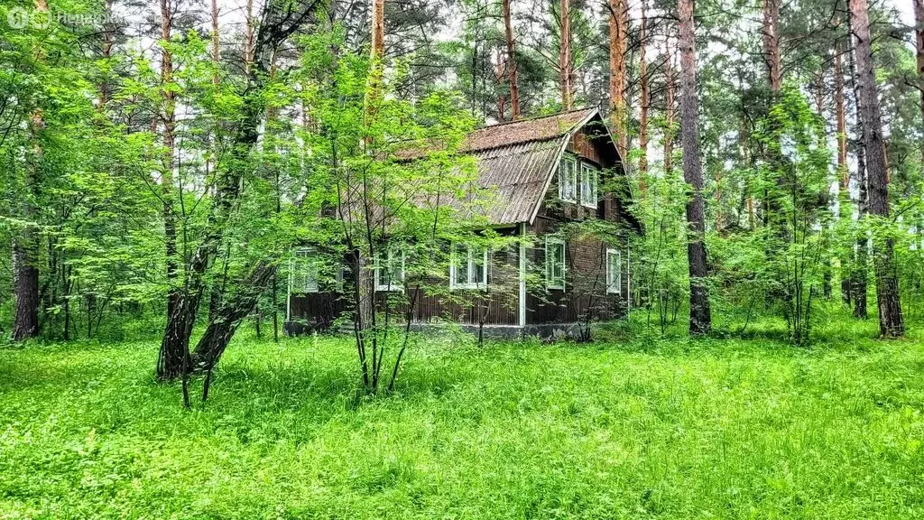 Участок в Новосибирск, 2-я Моховая улица (188 м) - Фото 1