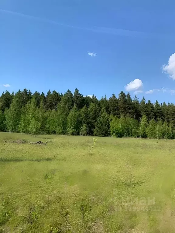Участок в Омская область, Омский район, Чернолучинский дп Пионерская ... - Фото 1