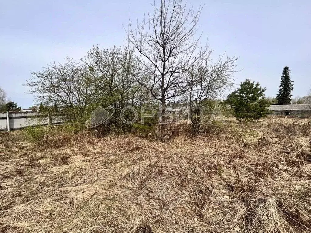 Участок в Тюменская область, Тюменский муниципальный округ, Речник ... - Фото 1