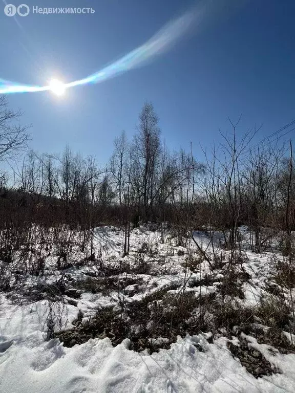 Участок в Артём, СТ Глобус-1 (10 м) - Фото 1