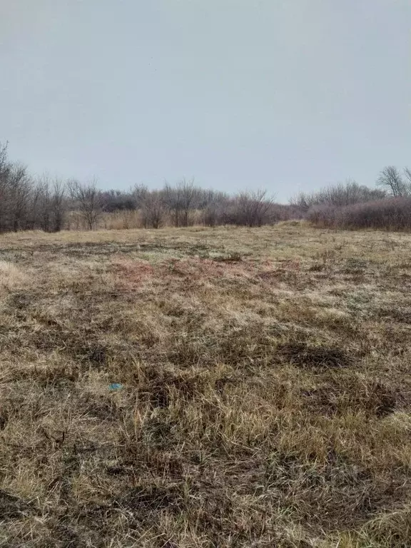 Участок в Ростовская область, Аксайский район, Грушевское с/пос, ... - Фото 2