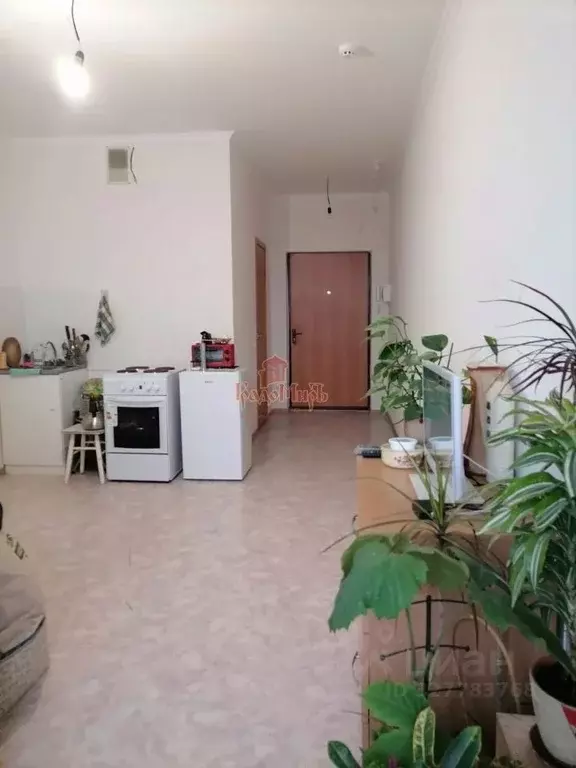 Студия Московская область, Хотьково Сергиево-Посадский район, ... - Фото 2