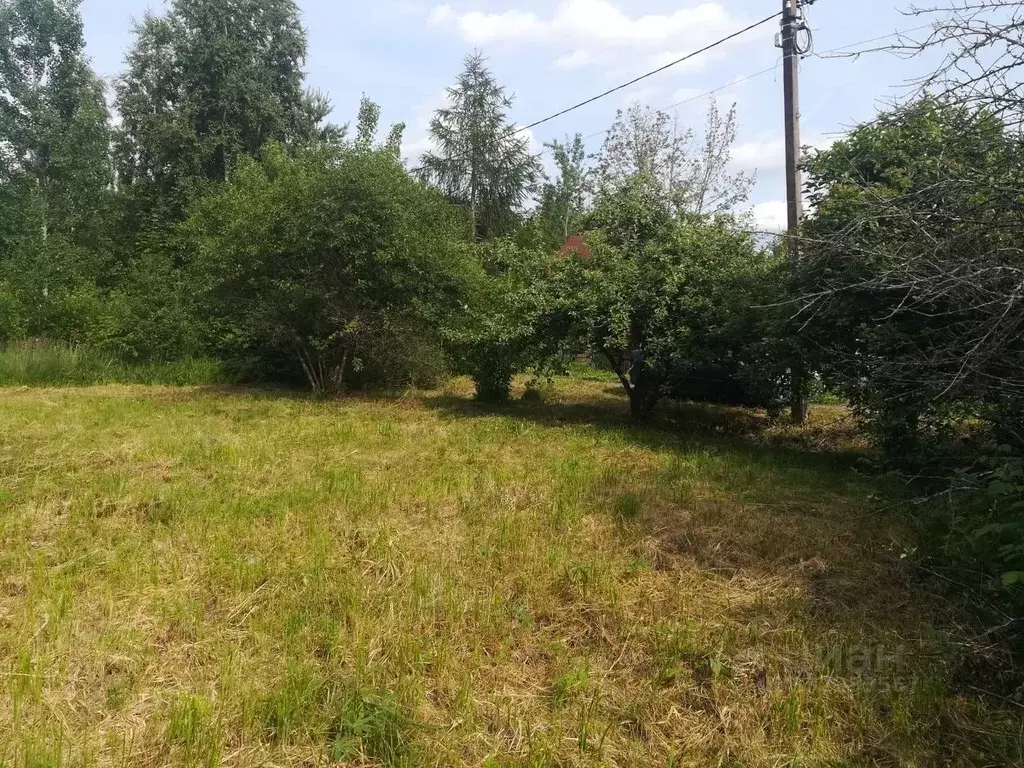 Участок в Санкт-Петербург, Санкт-Петербург, Павловск Уголек СНТ, 2-я ... - Фото 2