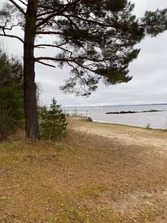 Участок в Нижегородская область, Городецкий муниципальный округ, ... - Фото 2