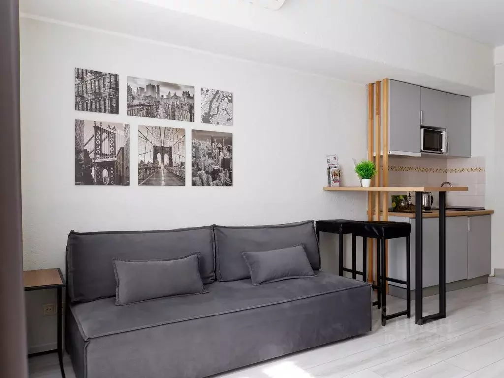 Студия Татарстан, Казань ул. Парижской Коммуны, 4 (25.0 м) - Фото 1