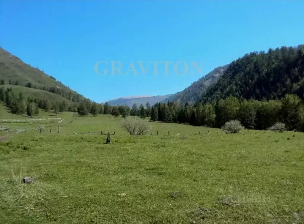 Участок в Алтай, Усть-Коксинский район, с. Катанда  (9.08 сот.) - Фото 1