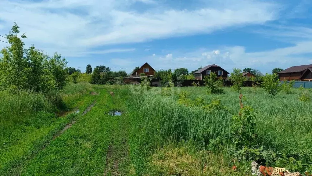 Участок в Татарстан, Лаишевский район, Рождественское с/пос, д. ... - Фото 0