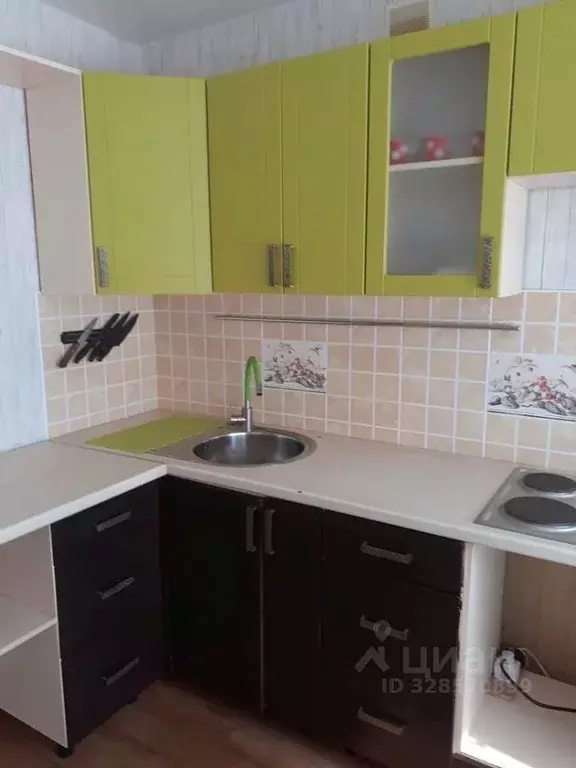 2-к кв. Новосибирская область, Бердск ул. Красная Сибирь, 130 (41.0 м) - Фото 1