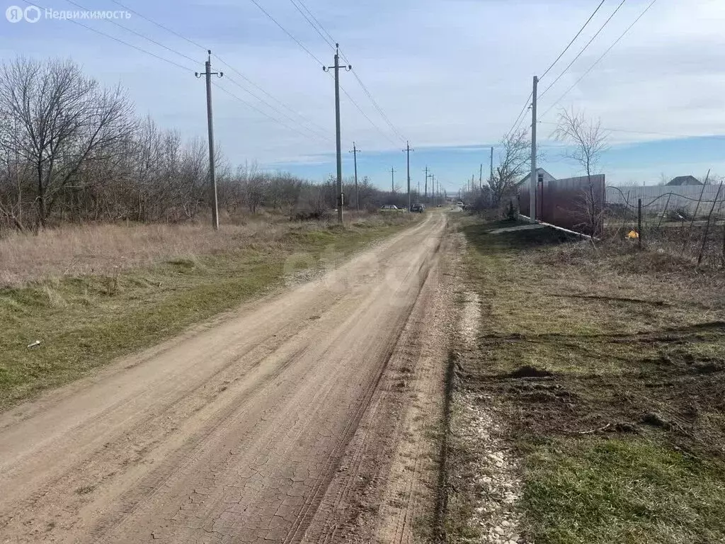 Участок в Ленинский район, городское поселение Щёлкино, СПК Фиал, ... - Фото 2