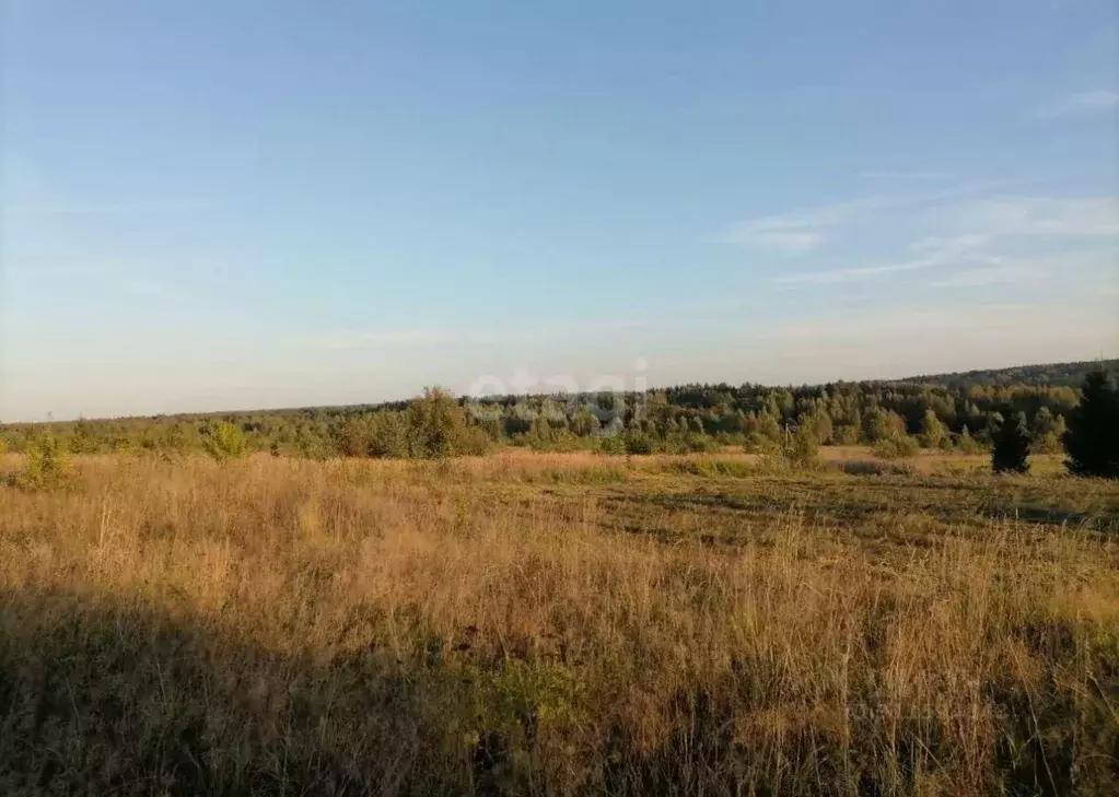 Участок в Ярославская область, Некрасовское с/пос, д. Кренево  (434.3 ... - Фото 0