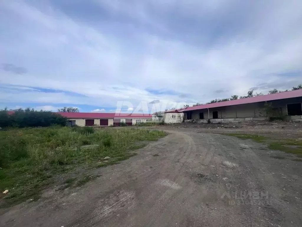 Склад в Челябинская область, Троицк Подгорная ул., 2 (3300 м) - Фото 1
