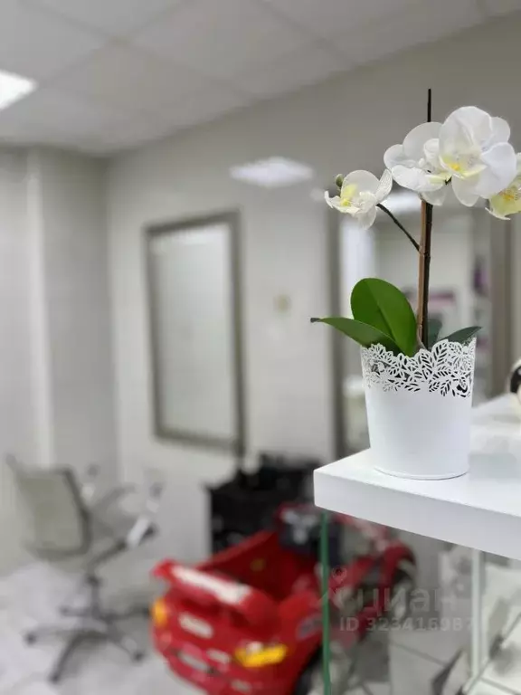 Помещение свободного назначения в Омская область, Омск Транссибирская ... - Фото 1