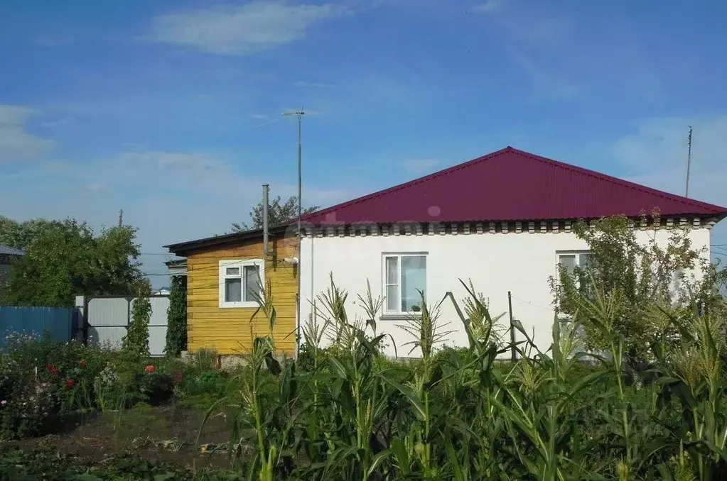 Дом в Курганская область, Варгаши рп ул. Космонавтов (63 м) - Фото 1