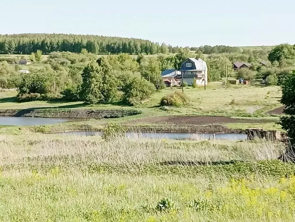 Дом в Саратовская область, Базарно-Карабулакский район, Алексеевское ... - Фото 0