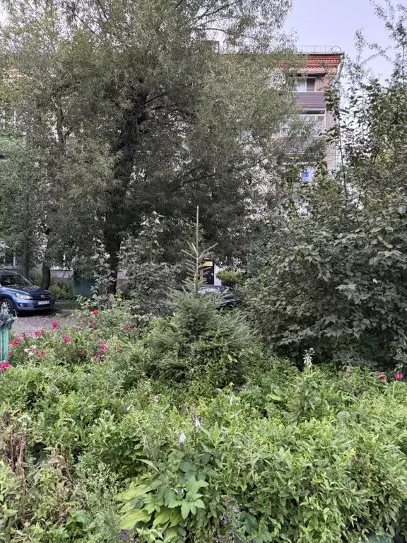 Комната Москва бул. Матроса Железняка, 16 (19.5 м) - Фото 2