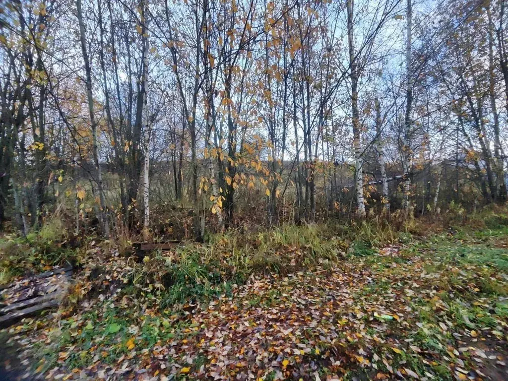 Участок в Московская область, Солнечногорск Загорье-3 мкр,  (14.0 ... - Фото 0