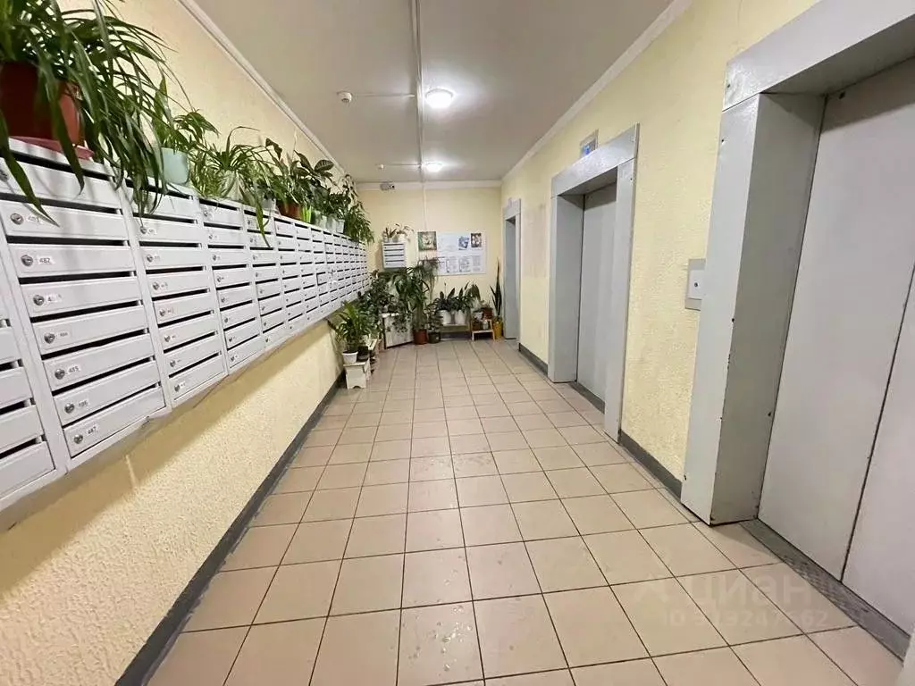 2-к кв. Московская область, Балашиха ул. Демин луг, 6/5 (45.0 м) - Фото 0