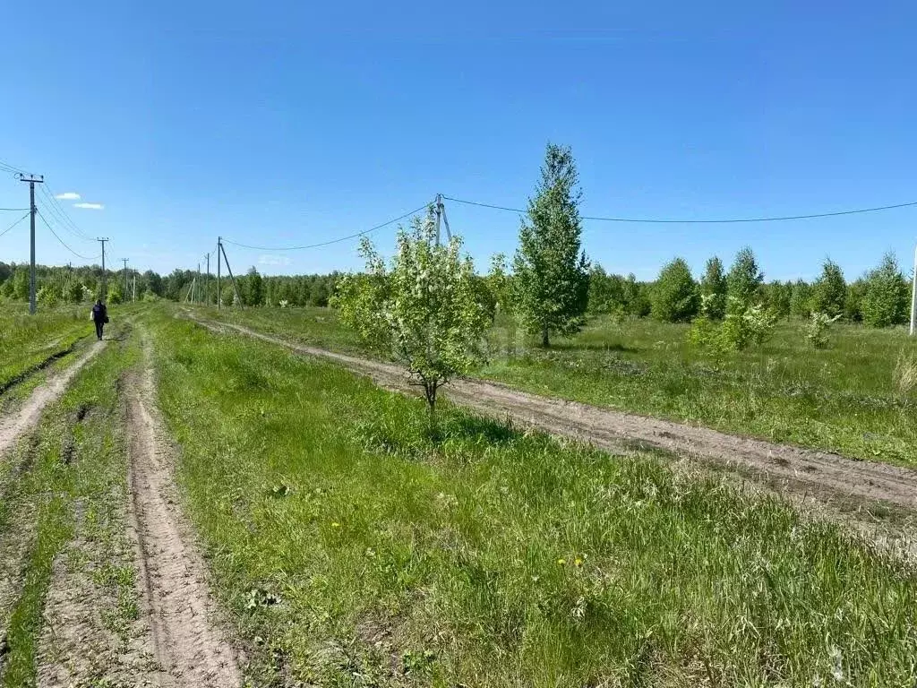 Участок в Челябинская область, Каслинский район, Тюбукское с/пос  ... - Фото 1