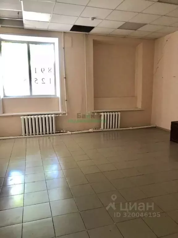 Помещение свободного назначения в Саратовская область, Вольск ул. ... - Фото 2