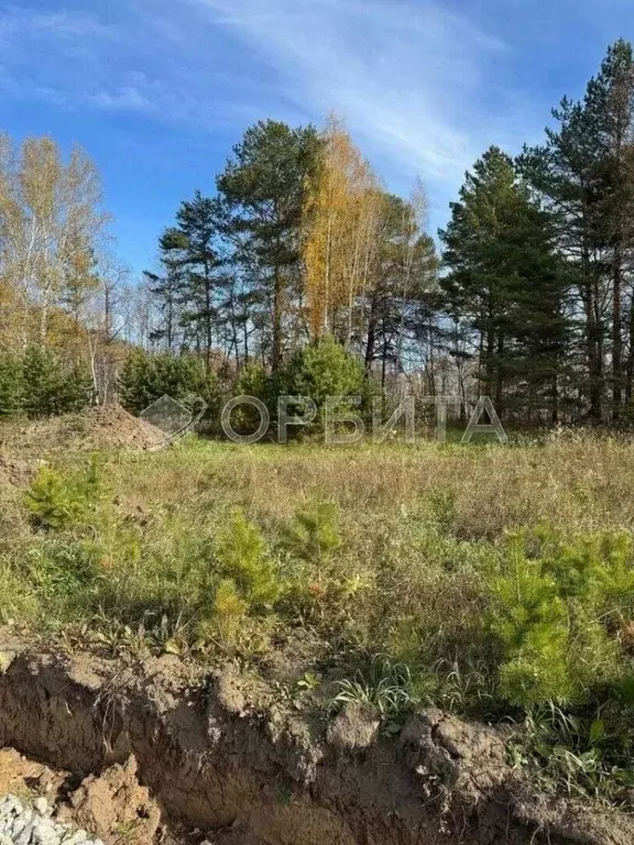 Участок в Тюменская область, Тюменский район, д. Елань, Австралия кп  ... - Фото 1