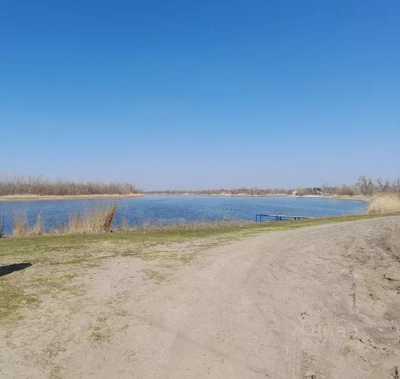 Участок в Ростовская область, Волгодонской район, Романовская ст-ца  ... - Фото 1