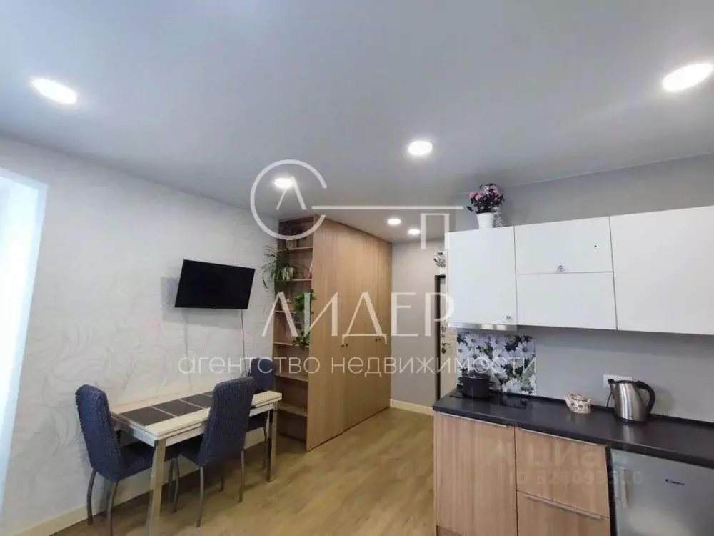 Студия Краснодарский край, Сочи Мамайка мкр, ул. Волжская, 16 (25.0 м) - Фото 1