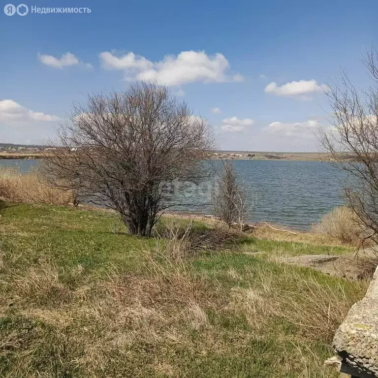 Участок в Неклиновский район, Лакедемоновское сельское поселение, село ... - Фото 1