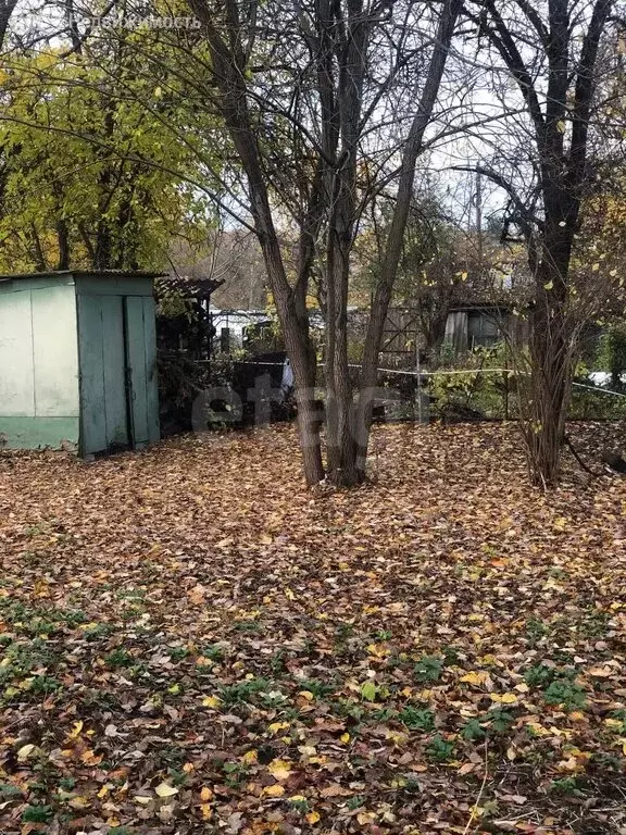 Участок в Брянск, садоводческое объединение Родина (5 м) - Фото 2