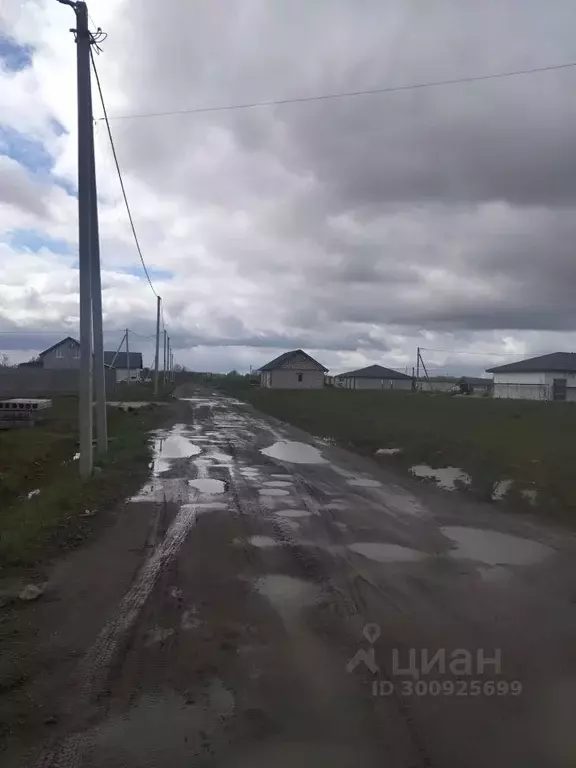 Участок в Калининградская область, Зеленоградский муниципальный округ, ... - Фото 2