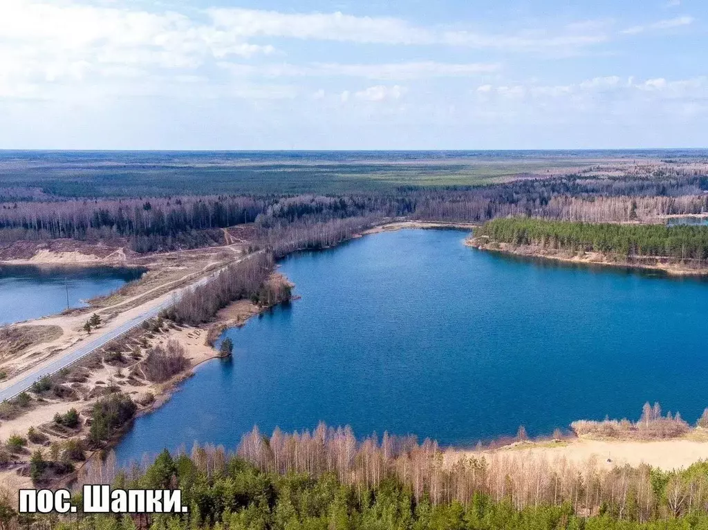 Участок в Ленинградская область, Тосненский район, Шапкинское с/пос, ... - Фото 1