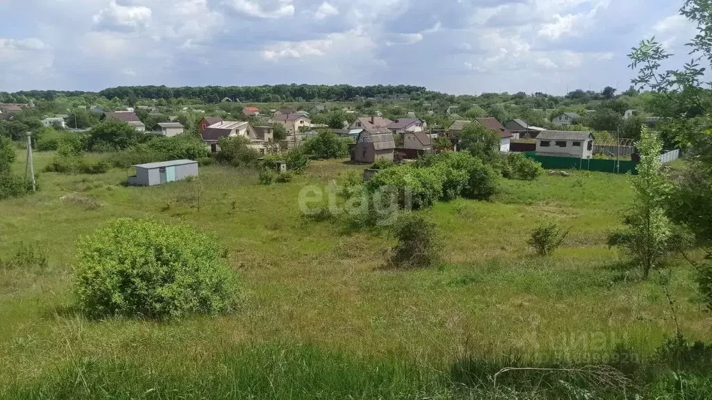 Участок в Белгородская область, Белгородский район, Рассвет дп  (6.0 ... - Фото 1