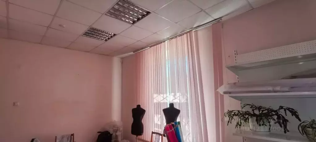 Торговая площадь в Свердловская область, Асбест просп. Ленина, 10 (75 ... - Фото 2