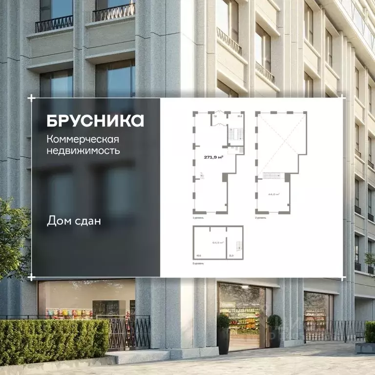 Помещение свободного назначения в Новосибирская область, Новосибирск ... - Фото 1