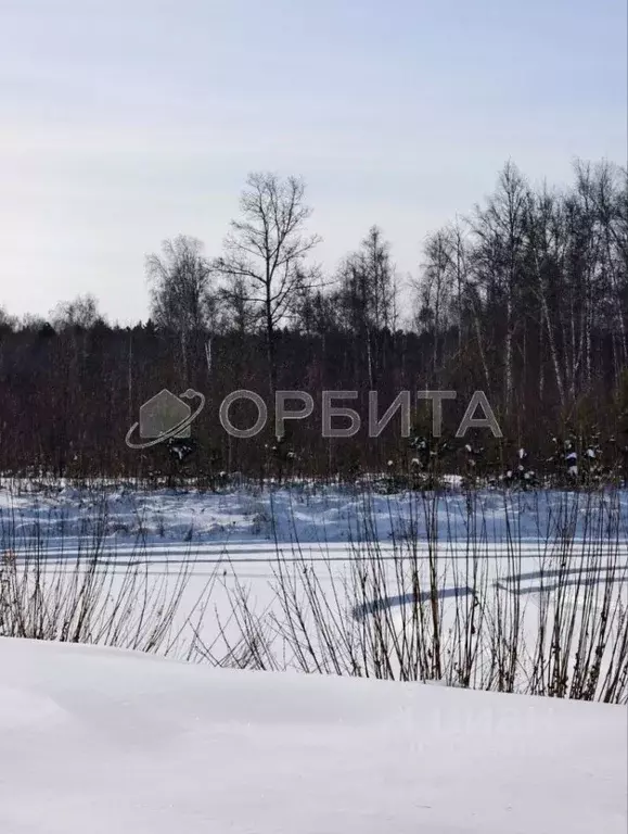 Участок в Свердловская область, Тугулымский муниципальный округ, д. ... - Фото 1