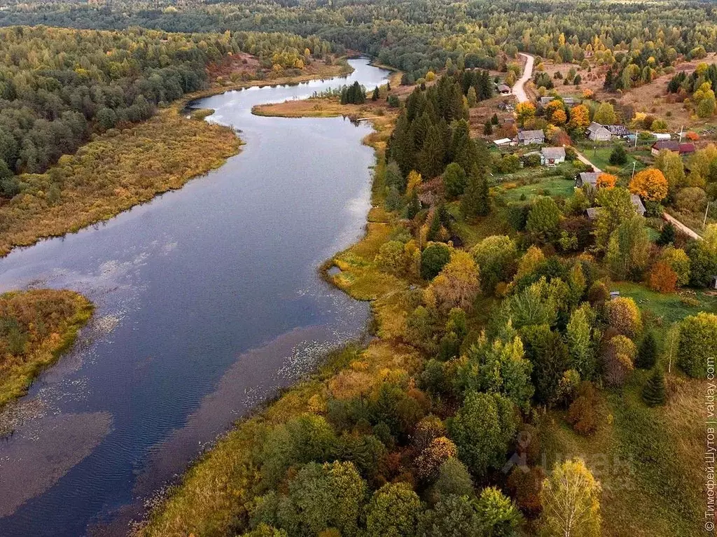 Участок в Новгородская область, Валдайский район, Рощинское с/пос, д. ... - Фото 0