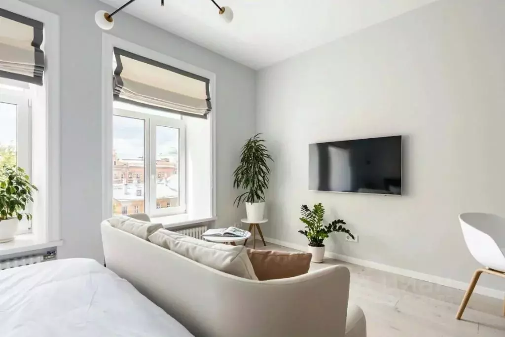 1-к кв. Санкт-Петербург Кузнечный пер., 19-21 (24.0 м) - Фото 1