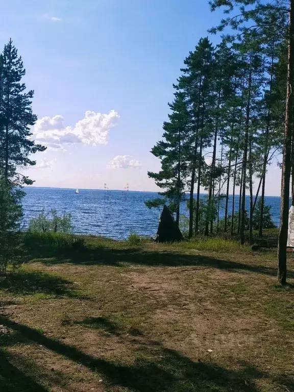Дом в Нижегородская область, Чкаловск городской округ, д. Губцево 4 ... - Фото 0
