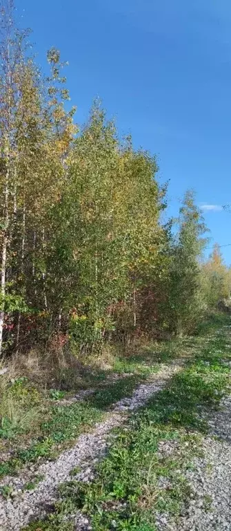 Участок в Ленинградская область, Кировский район, Синявинское ... - Фото 0