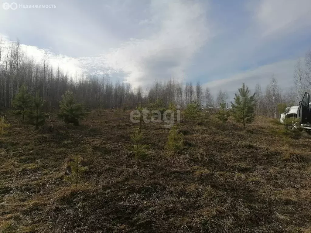 Участок в село Корнилово, улица Николая Сиротинина (12 м) - Фото 0