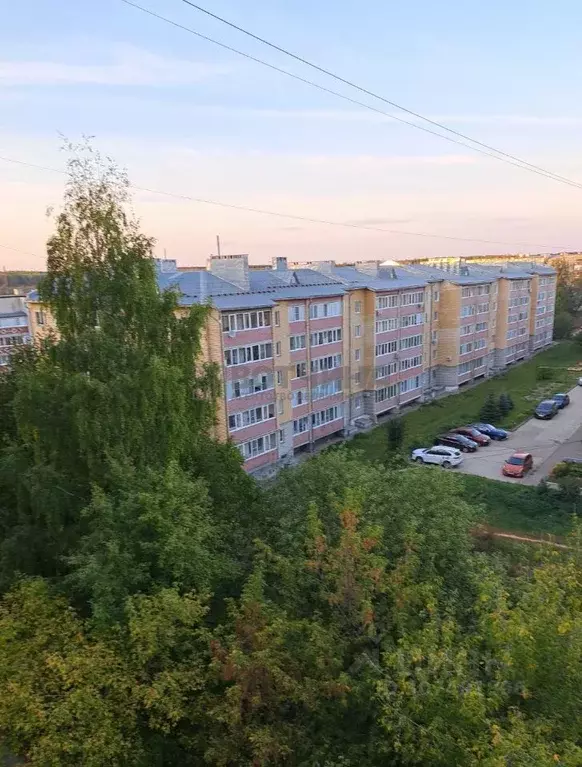 1-к кв. Нижегородская область, Арзамас Зеленая ул., 32 (42.1 м) - Фото 0