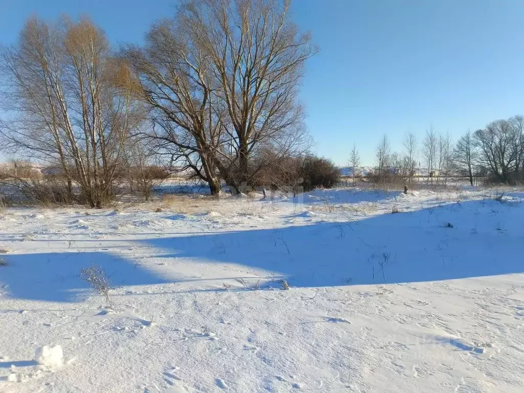 участок в саратовская область, балашовский район, с. большой мелик . - Фото 0