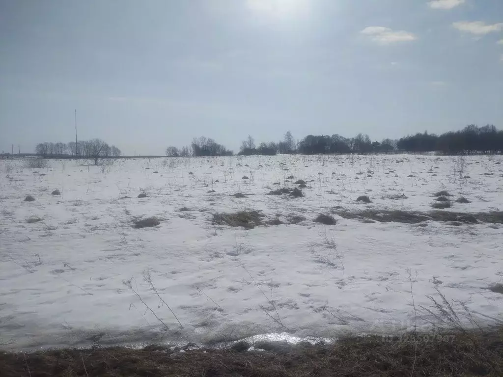Участок в Московская область, Можайский муниципальный округ, д. Холм  ... - Фото 1