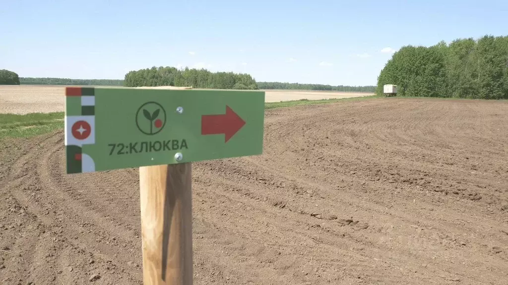 Участок в Тюменская область, Тюменский муниципальный округ, ... - Фото 2