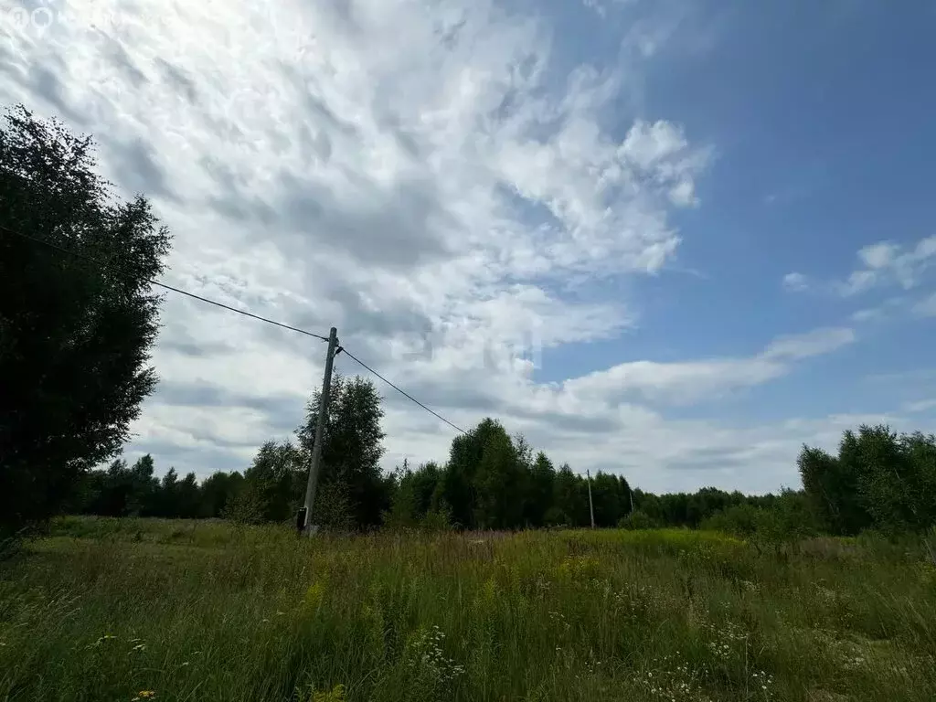 Участок в Нижегородская область, Городецкий муниципальный округ, ... - Фото 0