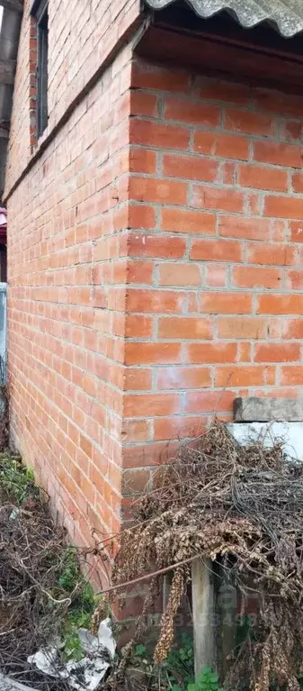 Участок в Воронежская область, Новоусманский район, пос. Воля ... - Фото 2