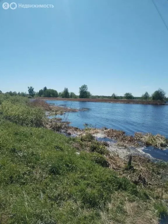 Участок в Ярославская область, Мышкинский муниципальный округ, деревня ... - Фото 2