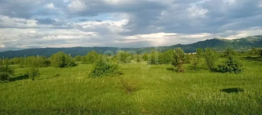Участок в Алтайский край, Алтайский район, Айский сельсовет, с. Ая  ... - Фото 1